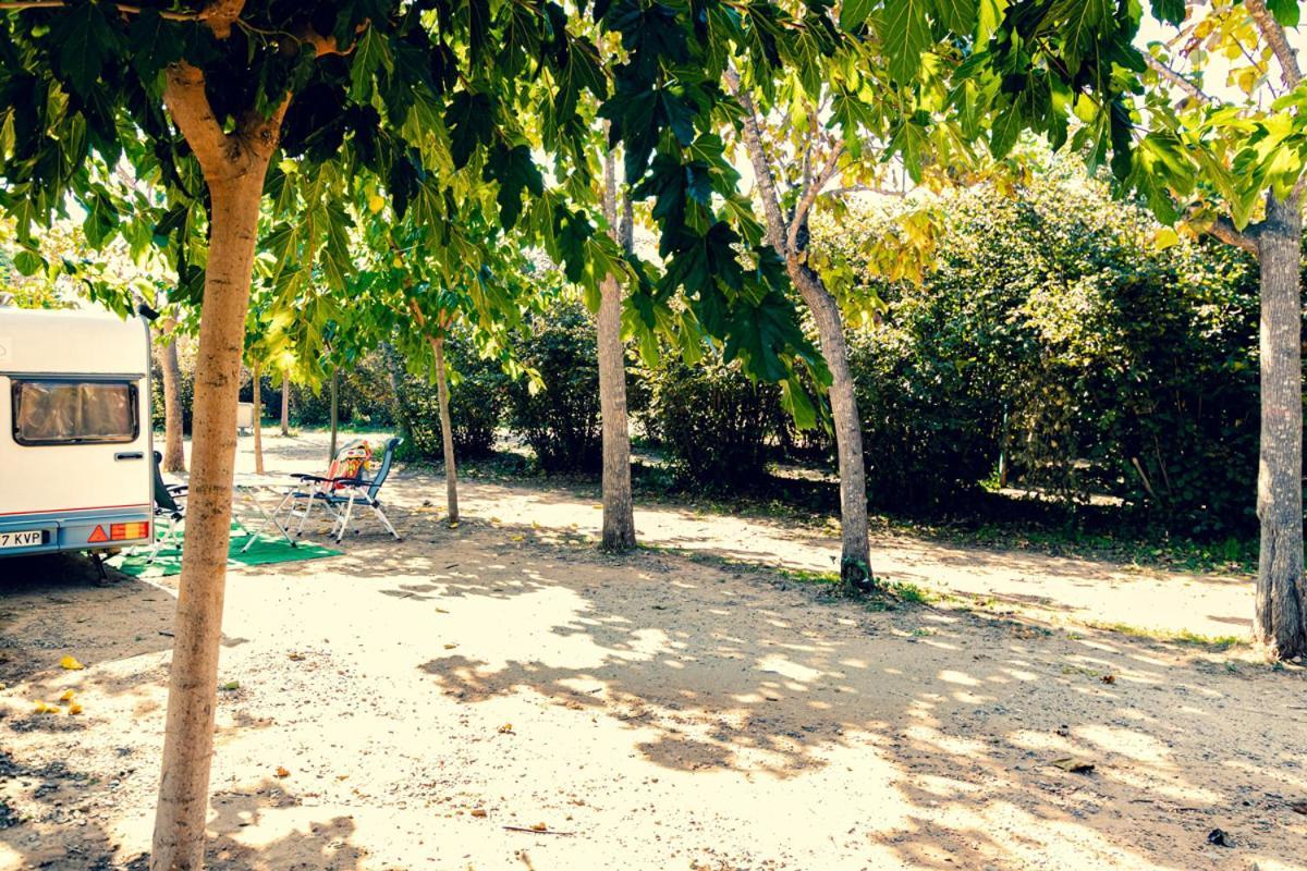 Hotel Ecologic Vinyols Camp Vinyols i Els Arcs Exterior foto