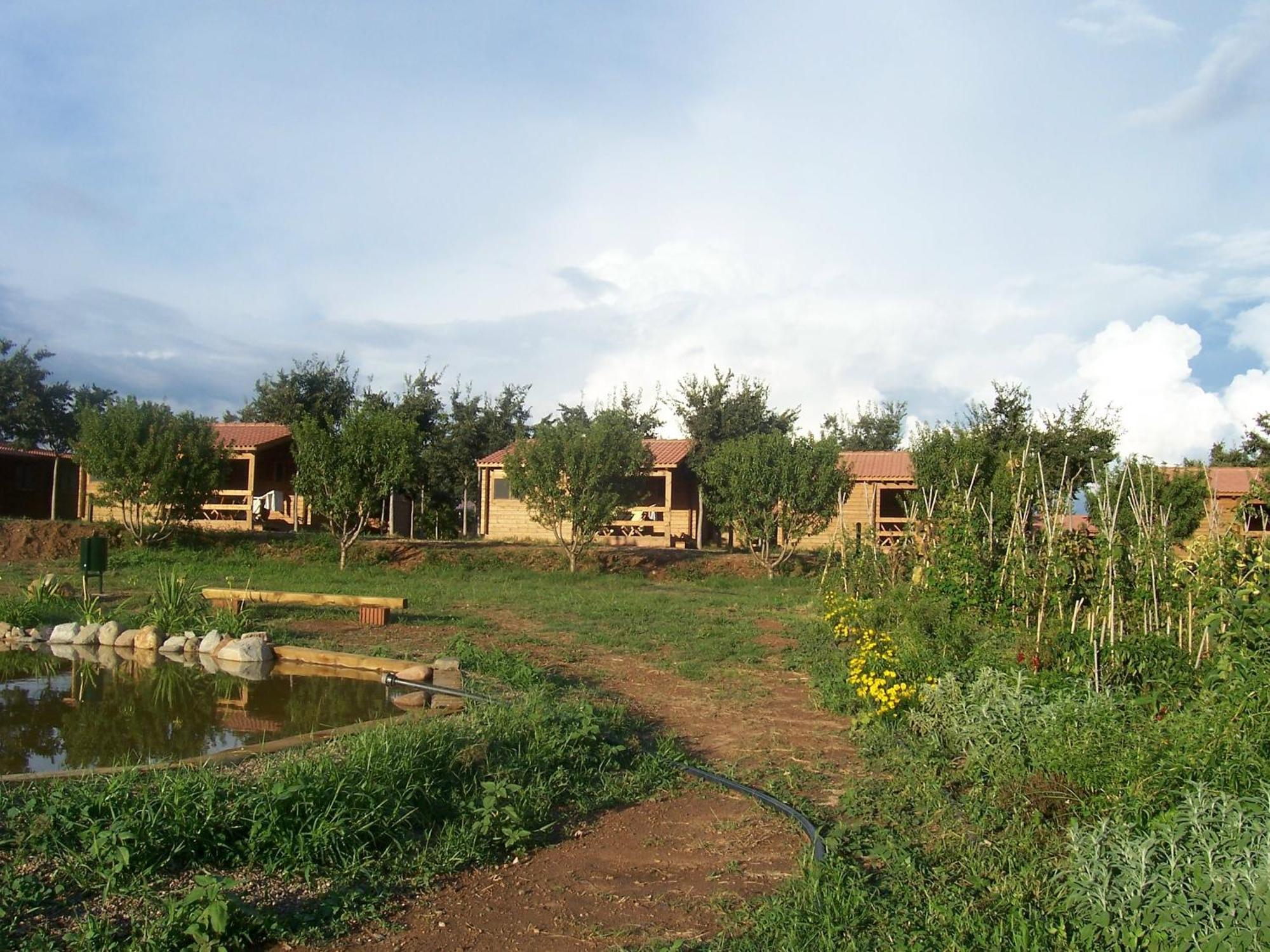 Hotel Ecologic Vinyols Camp Vinyols i Els Arcs Exterior foto